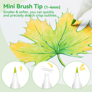 Ohuhu Kaala Slim Broad and Fine Dual Tips Alcohol Art Markers- 60 Colors Landscape Tone