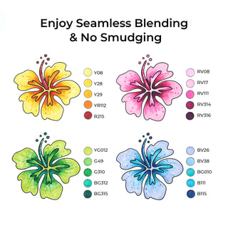 Ohuhu Oahu 80 Colors Dual Tips Alcohol Art Markers, Fine & Chisel