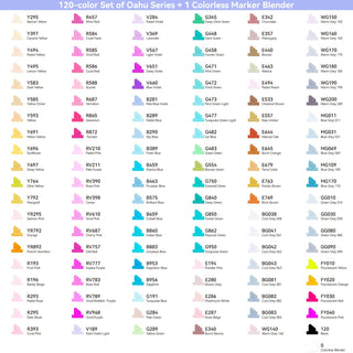 Ohuhu Oahu 120 Colors Dual Tips Alcohol Art Markers, Fine & Chisel (Australia Domestic Shipping)